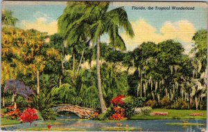 Postcard NATURE SCENE State of Florida FL AN9829