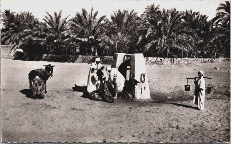 Algeria Ghardaia Un Puits Dans la Palmeraie Vintage RPPC C171