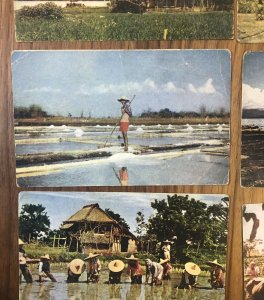 Lot Of 11 : Vintage Color Post Card Philippines Kodachrome Manila