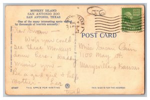 c1947 Postcard TX Monkey Island San Antonio Zoo San Antonio Texas