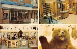 BLOOMINGTON, IN Indiana  ROY H SCHMALZ MUSEUM  Taxidermy Bear~Guns   Postcard