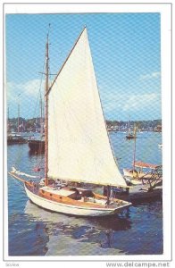 Sailboats, Harbor Scene, 1940-1960s