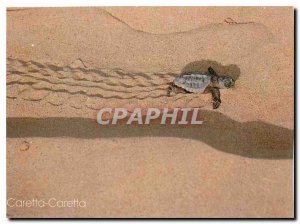 Postcard Modern Caretta Caretta turtle