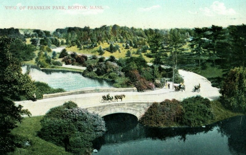 C.1910 Horse Buggy View of Franklin Park, Boston, Mass. Postcard P175 