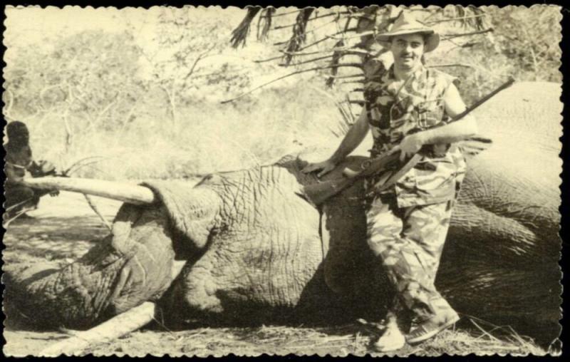 African Savannah ELEPHANT Hunter Hunting Trophy (1959) RP