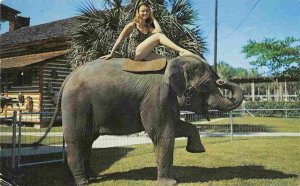 Elephant Ride Allen Reptile Institute Silver Springs Florida 1960s postcard