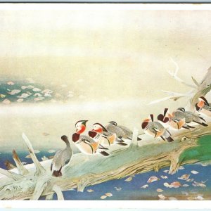 c1940s Japan Painting Shisui Matsumoto Ducks Postcard 14th Imperial Academy A58