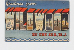 BIG LARGE LETTER VINTAGE POSTCARD GREETINGS FROM NEW JERSEY WILDWOOD BY THE SEA 