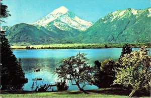Lake Region Near Bariloche Argentina Pan Am Airline Issued Chrome Postcard