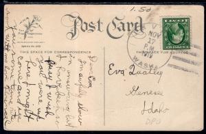 Thanksgiving Woman Turkey BIN