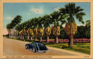 Texas Lower Rio Grande Valley Beautiful Palm Lined Highway 1937 Curteich