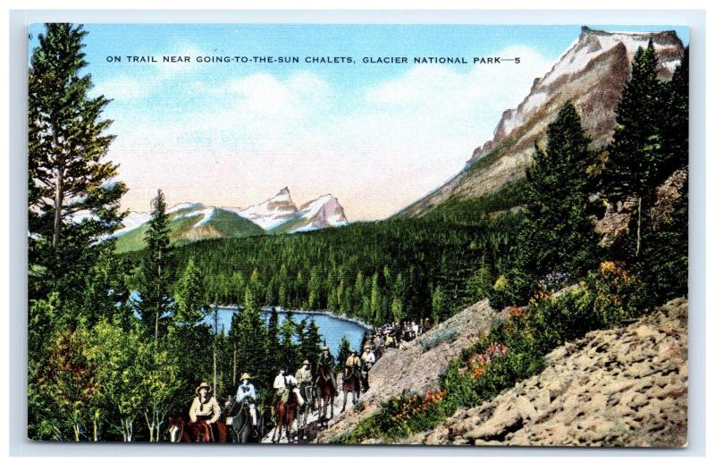 Postcard On Trail Near Going-To-The-Sun Chalets, Glacier National Park, MT D22