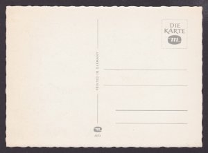 GERMANY, Postcard, Monkeys at the carnival, Unposted