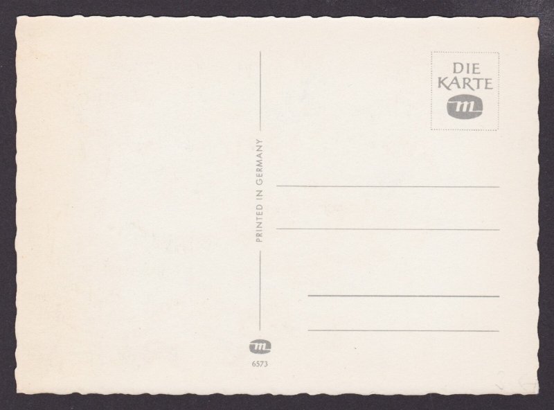 GERMANY, Postcard, Monkeys at the carnival, Unposted