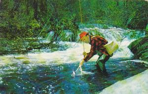 Fly Fishing For Trout