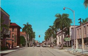 Curteich Postcard Royal palms and New Buildings Ft. Myers Florida Lee County