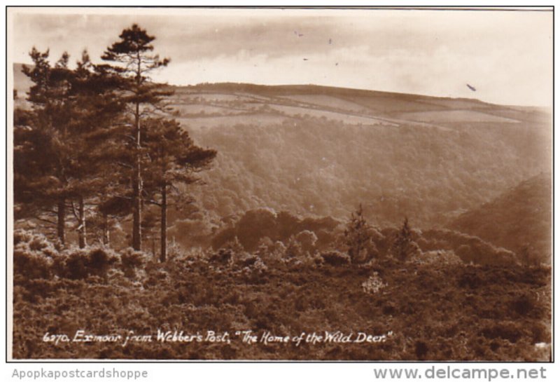 England Exmoor From Webber's Post Photo