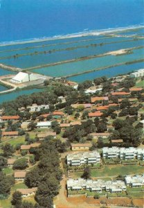 Israel,  MA'AGAN-MICHAEL KIBBUTZ  Bird's Eye View  4X6 OVERSIZE Chrome Postcard