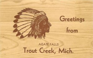 Postcard 1940s Michigan Trout Creek Agate American Indian advertising 23-13256
