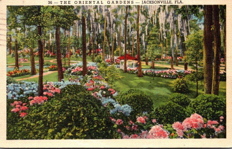 Florida Jacksonville The Oriental Gardens 1940 Curteich
