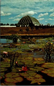 Vtg Boettcher Conservatory From Lily Pond Denver Botanical Gardens CO Postcard