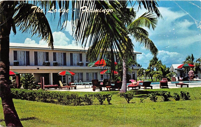 US20 US FL Flamingo the lodge 1974 florida