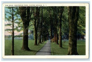 1929 Walk, Sanitarium Park, Clifton Springs New York NY Vintage Postcard