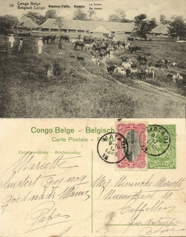 belgian congo, ROMÉE, STANLEY-FALLS, Farm with Cattle (1920s) Postcard (36)