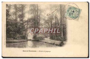 Vincennes Postcard Old Wood Landscape Study