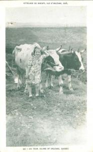 Girl with Ox Team - Island of Orleans QC, Quebec, Canada