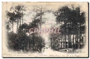 Old Postcard Arcachon Allee