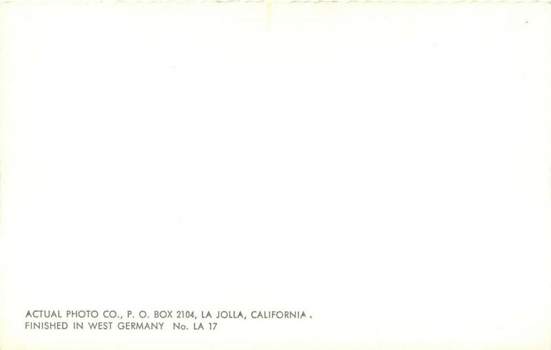 Hand-Colored RPPC Mid-Century Theme Restaurant Los Angeles International Airport