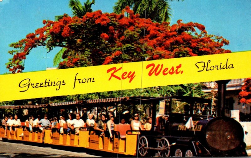 Florida Key West Greetings Showing Poinciana In Full Bloom and Conch Tour Tra...