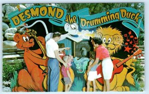 SILVER SPRINGS, FL ~ Barlett's Deer Ranch DESMOND The DRUMMING DUCK  Postcard