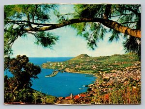 Western View of Funchal Madeira in Portugal 4x6 Vintage Postcard 0167