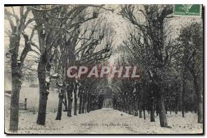 Old Postcard A Dourdan Allee park