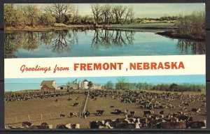 Nebraska, Fremont - Greetings From - [NE-003]