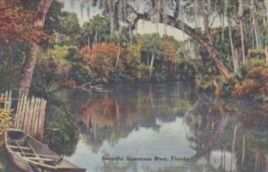 Florida View On The Beautiful Suwannee River Curteich