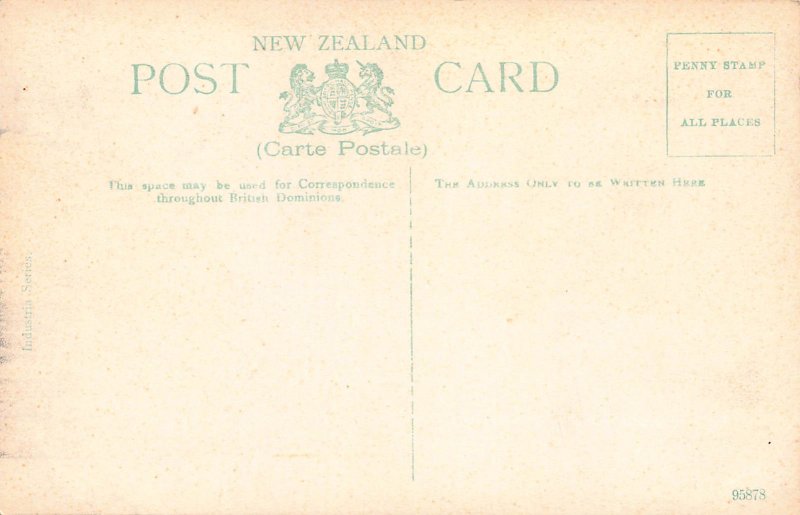 Outlet of Lake, Waikaremoana, New Zealand, Early Postcard, Unused