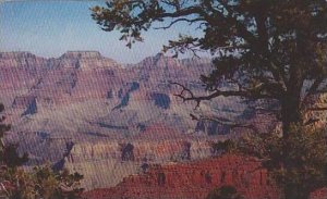 Arizona Grand Canyon Of Northern Arizona Mather Point