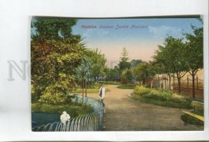 477374 PORTUGAL Madeira Funchal municipal garden Vintage postcard