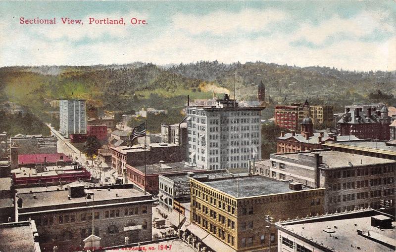 Portland Oregon~Sectional View Overlooking Rooftops~Coca Cola~American Flag~1910