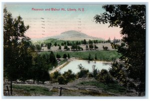 1908 Reservoir and Walnut Mount Liberty New York NY Antique Postcard