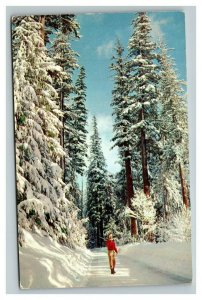 Vintage 1960's Postcard Woman Walking on a Snowy Country Road Tall Evergreens
