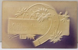 New Year Embossed Airbrushed Horseshoe Flowers 1907 Somerset Pa Postcard D11