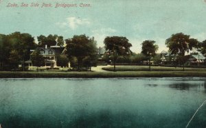 Vintage Postcard 1910 Lake Sea Side Park Trees Bridgeport Connecticut CT Nature