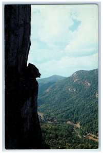 c1950's The Devils Head Chimney Rock North Carolina NC Vintage Postcard