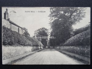 Surrey Elmbridge COBHAM Pains Hill Footbridge (2) c1905 Postcard by M. Harris