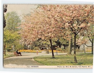 Postcard Rhondda, Wales