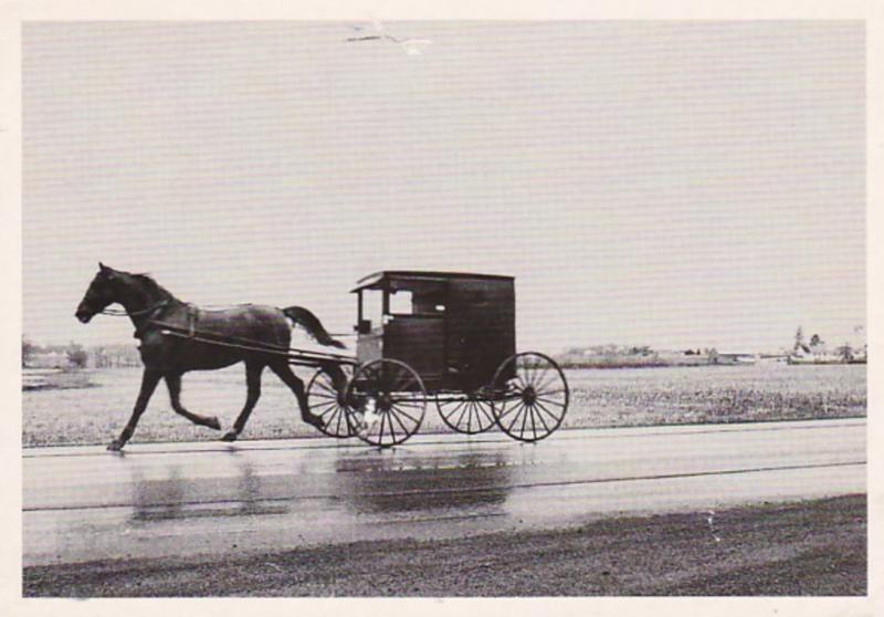 Pennsylvania Amish Buggy Along A Wet Lancaster County Road 1996